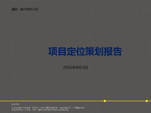 衡水住宅项目定位及营销策划方案解析